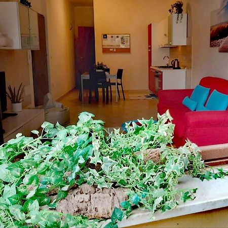 Brisa Marina Apartment Alghero Buitenkant foto